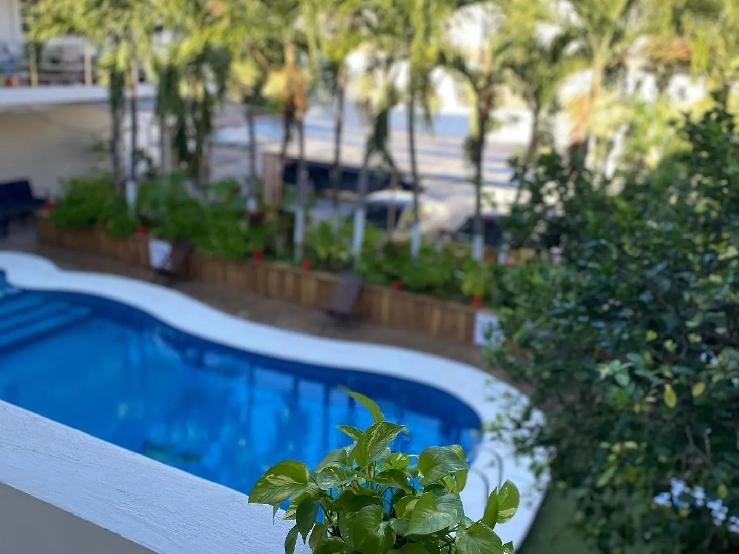 ***  Hotel Balxiba Playa del Carmen Mexico